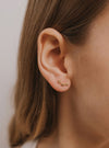 JaxKelly Complements - Star & Constellation Studs