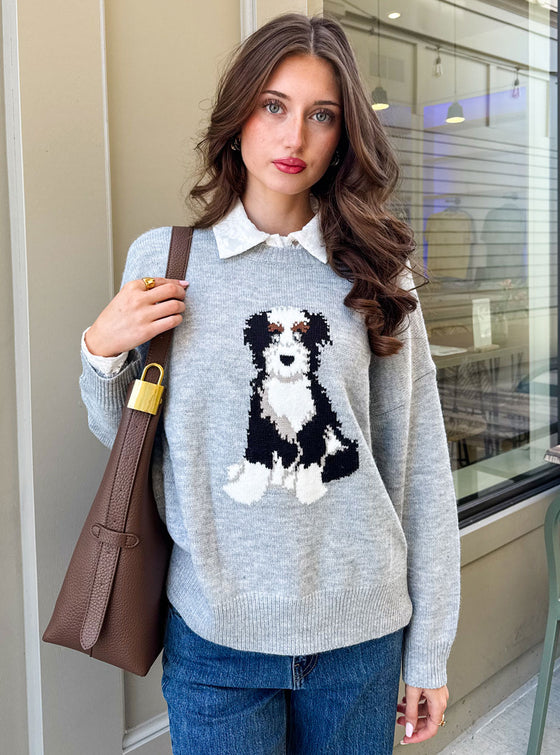 Dog Days Sweater