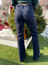 JBD High Rise Flare Jean in 2 Colors