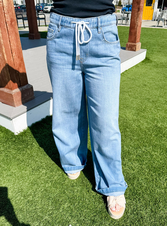Hidden Nori High Rise Wide Jeans