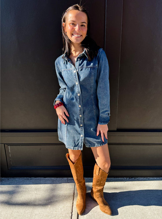 Denim Daydreamer Mini Dress
