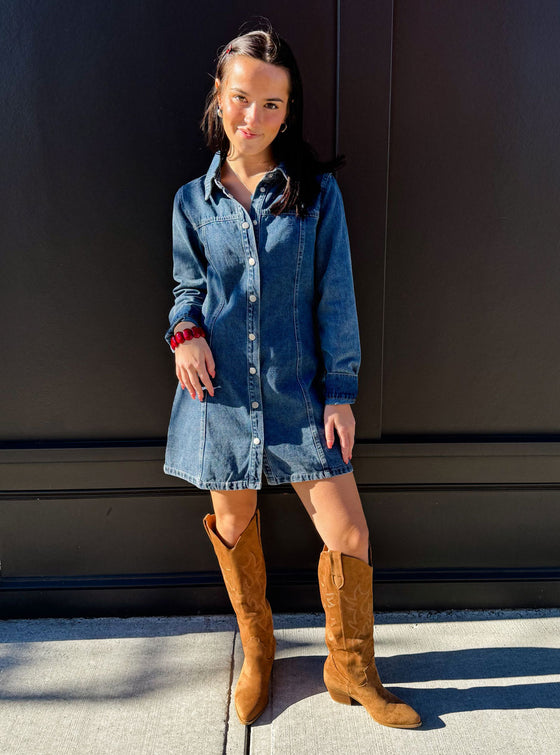 Denim Daydreamer Mini Dress