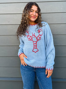  pinchmesweater