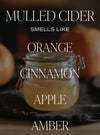 Sweet Water Decor Spiced Apple Cider 15 oz Candle