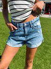 Vervet High Rise Shorts